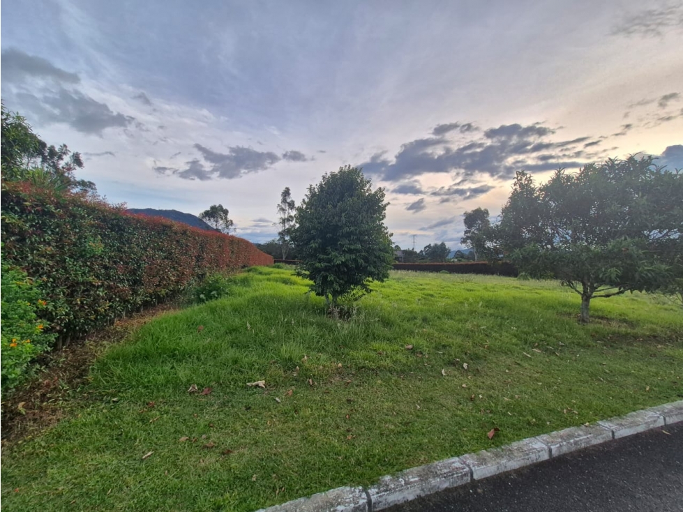 VENTA DE LOTE LA CEJA, VIA LA CEJA - SAN ANTONIO — foto 2