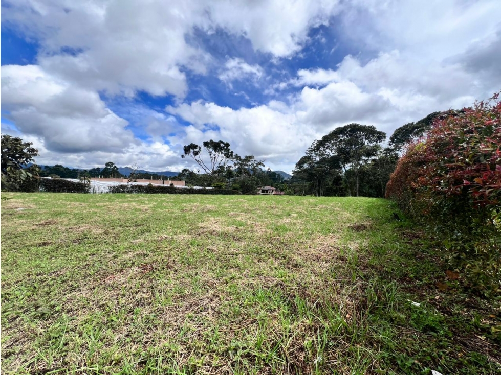 VENTA DE LOTE RESERVA SILVESTRE EN LA CEJA, VEREDA EL YARUMO — foto 5