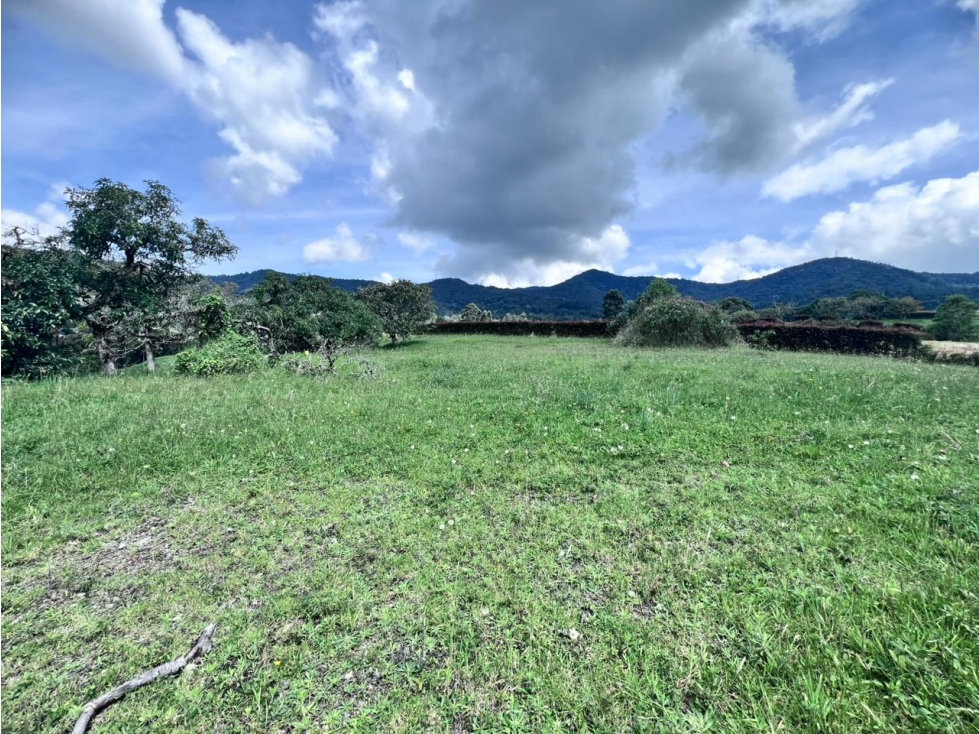 VENTA DE LOTE EN LA CEJA PRECIO OPORTUNIDAD RESERVA SILVESTRE — foto 4