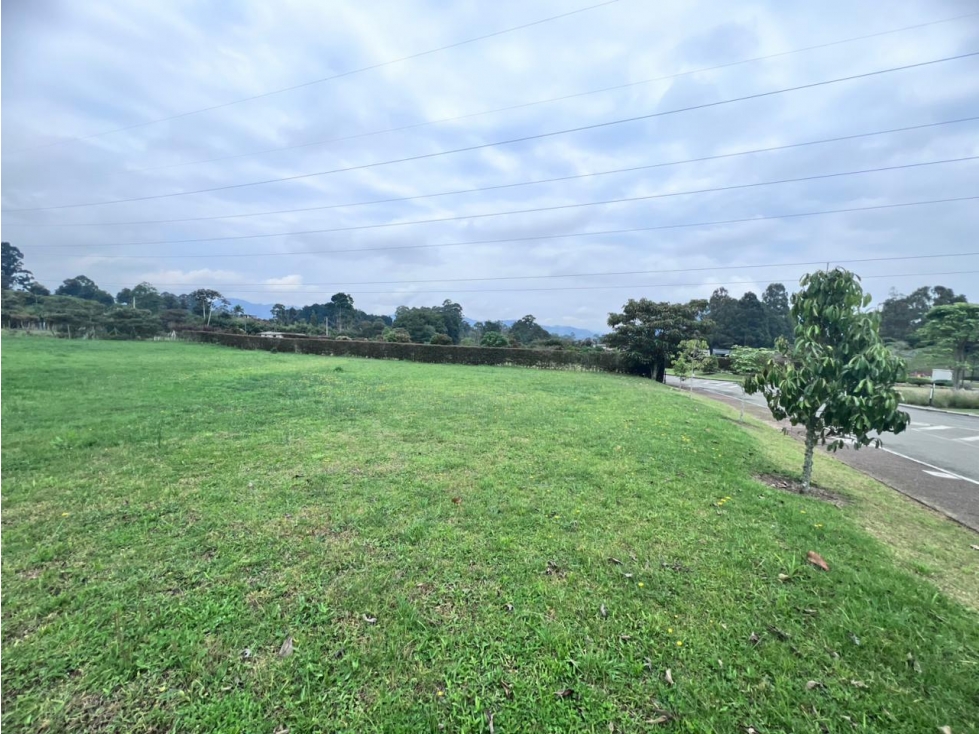 VENTA DE LOTE LA CEJA, VIA LA CEJA-SAN ANTONIO — foto 3