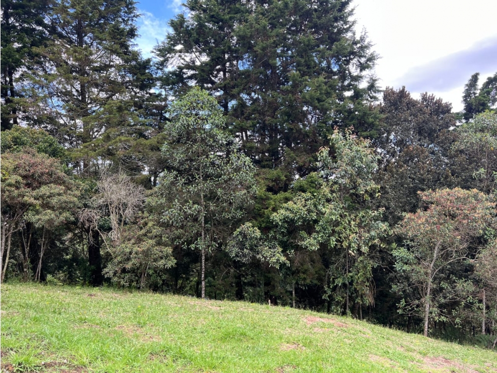 VENTA DE LOTE EN EL ALTO DE LAS PALMAS CON EXCELENTE VISTA — foto 6