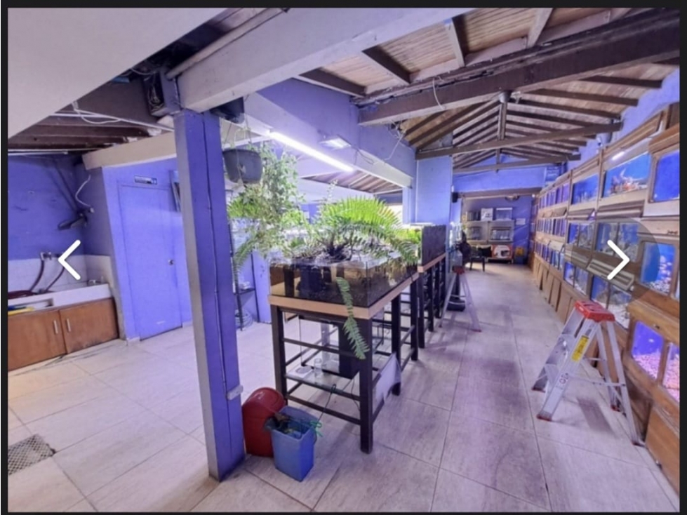VENTA Y RENTA LOCAL COMERCIAL CERCA AL ÉXITO DEL POBLADO — foto 3