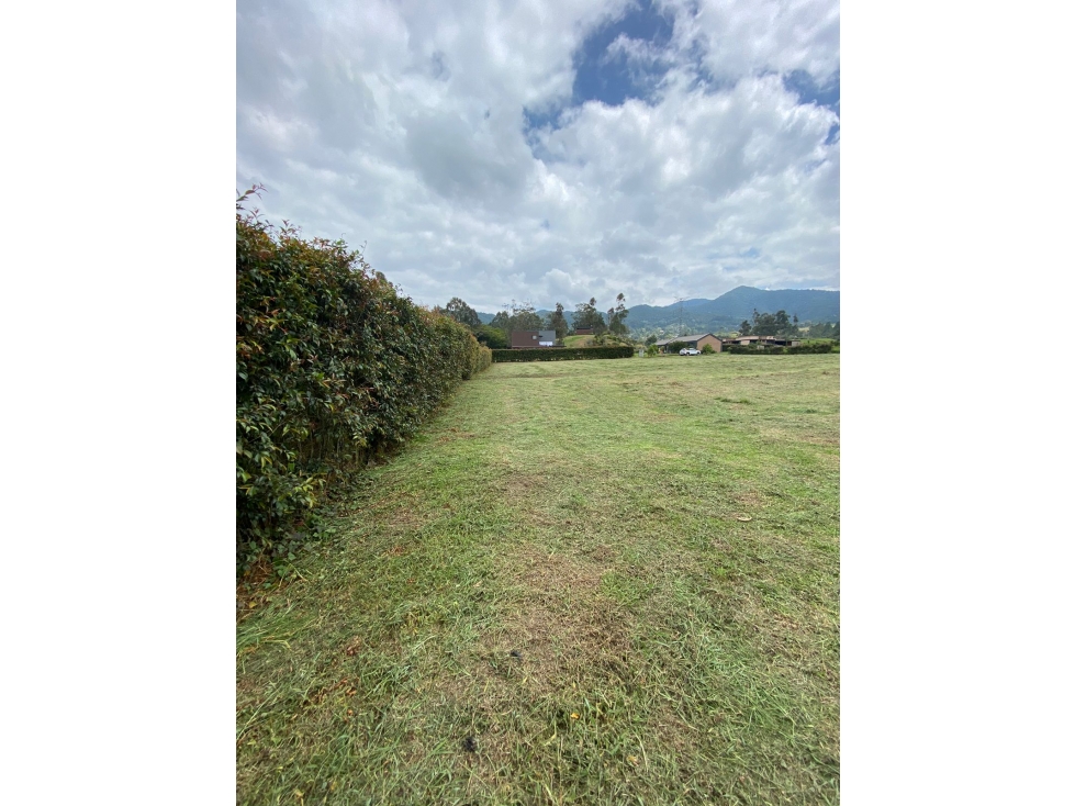 VENTA LOTE DENTRO DE PARCELACIÓN EN LA CEJA - VIA RIONEGRO LA CEJA — foto 2