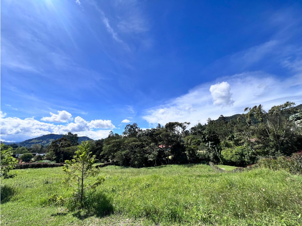 VENTA DE LOTE RESERVA SILVESTRE EN LA CEJA, VEREDA EL YARUMO — foto 5