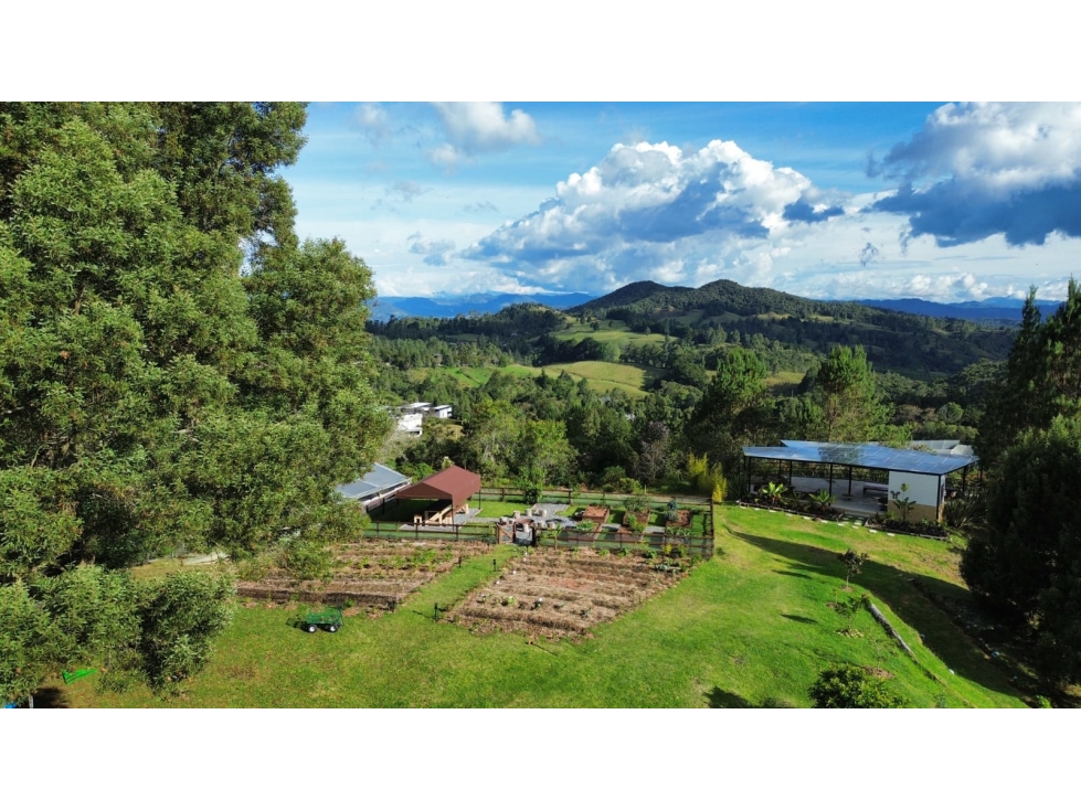 VENTA DE LOTE EN ALTO DE PALMAS - EXCELENTE UBICACIÓN — foto 2