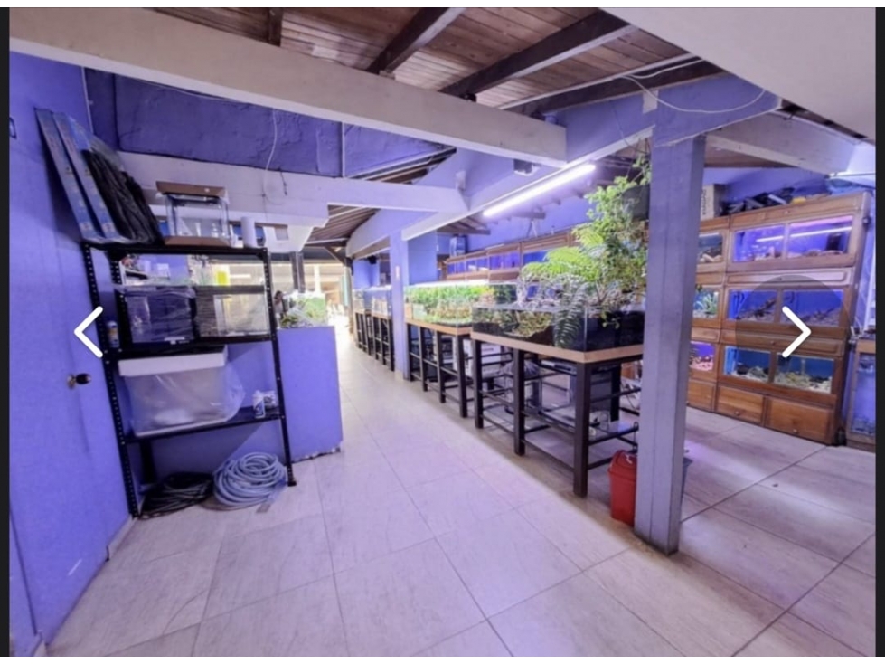 VENTA Y RENTA LOCAL COMERCIAL CERCA AL ÉXITO DEL POBLADO — foto 4