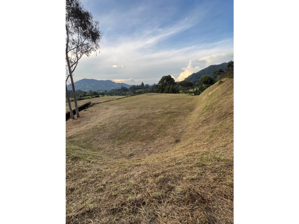 VENTA LOTE EN LA CEJA, VÍA LA CEJA - SAN ANTONIO — foto 5