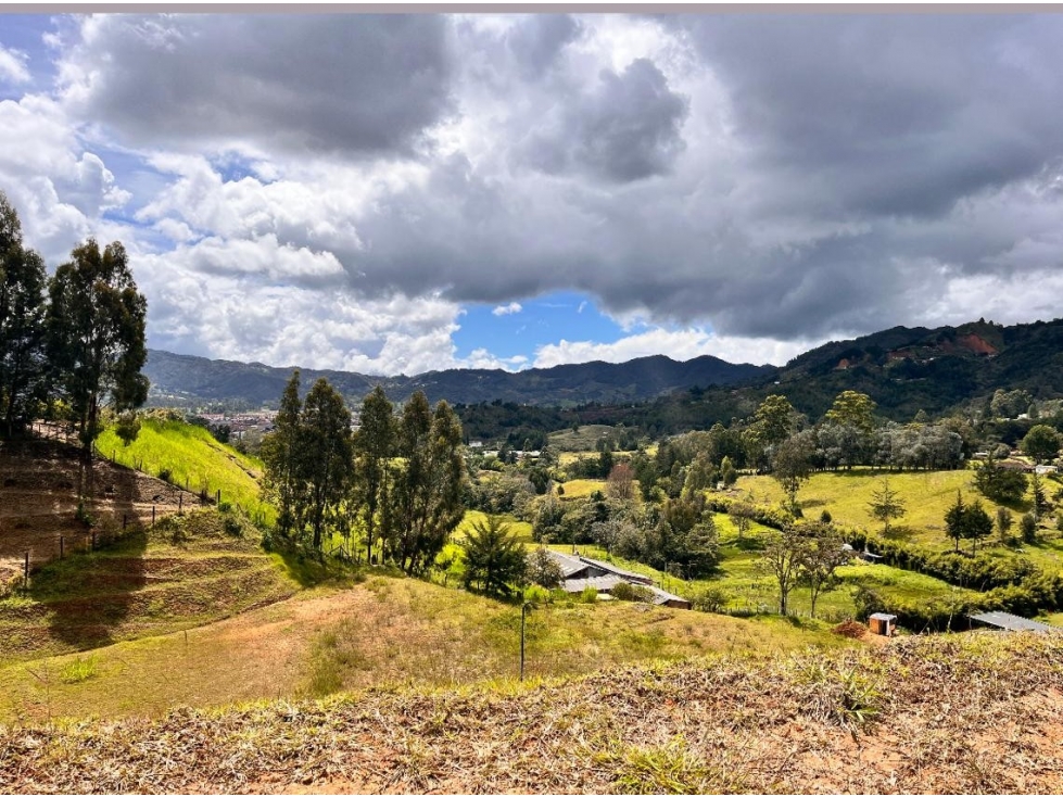 VENTA DE LOTE EN VEREDA EL CHAPARRAL LA CEJA ANTIOQUIA
