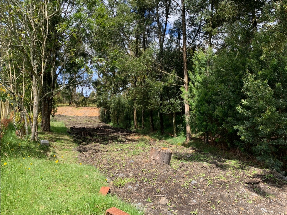 VENTA DE LOTE EN LAS PALMAS — foto 4