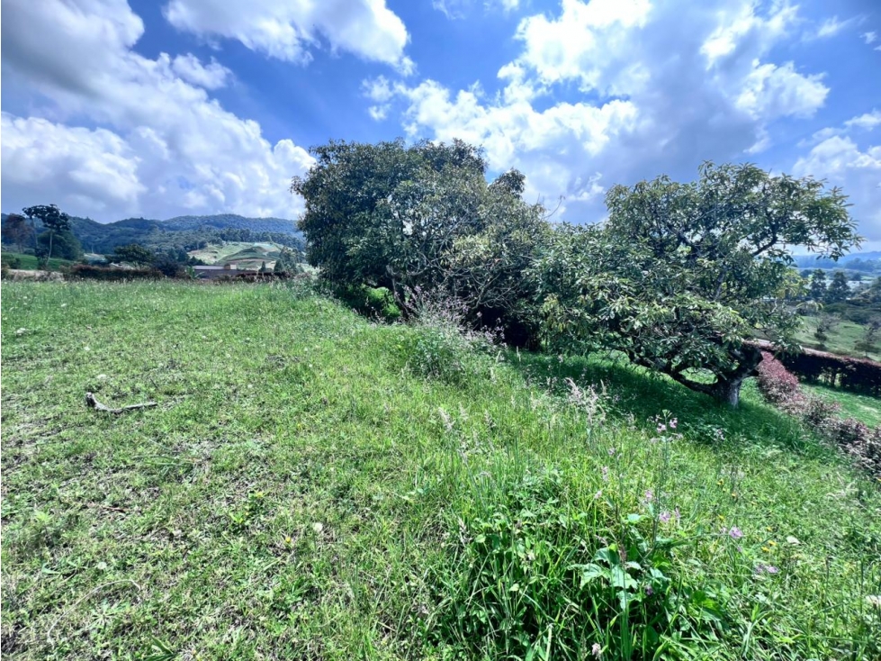 VENTA DE LOTE EN LA CEJA PRECIO OPORTUNIDAD RESERVA SILVESTRE — foto 6