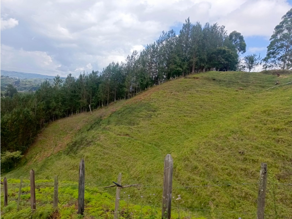 VENTA DE LOTE EN EL PEÑOL, PARAJE EL CHILCO - 4
