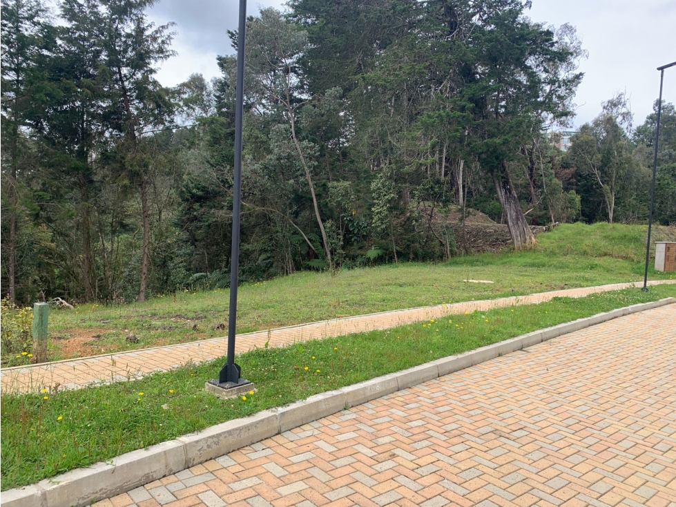 VENTA DE LOTE EN LAS PALMAS — foto 5