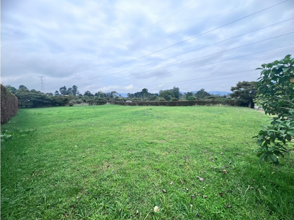 VENTA DE LOTE LA CEJA, VIA LA CEJA-SAN ANTONIO — foto 5