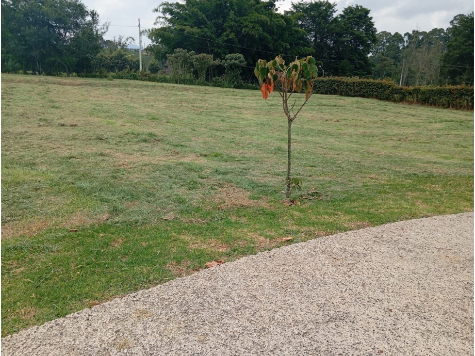 VENTA LOTE DENTRO DE PARCELACIÓN EN LA CEJA - VIA RIONEGRO LA CEJA — foto 5