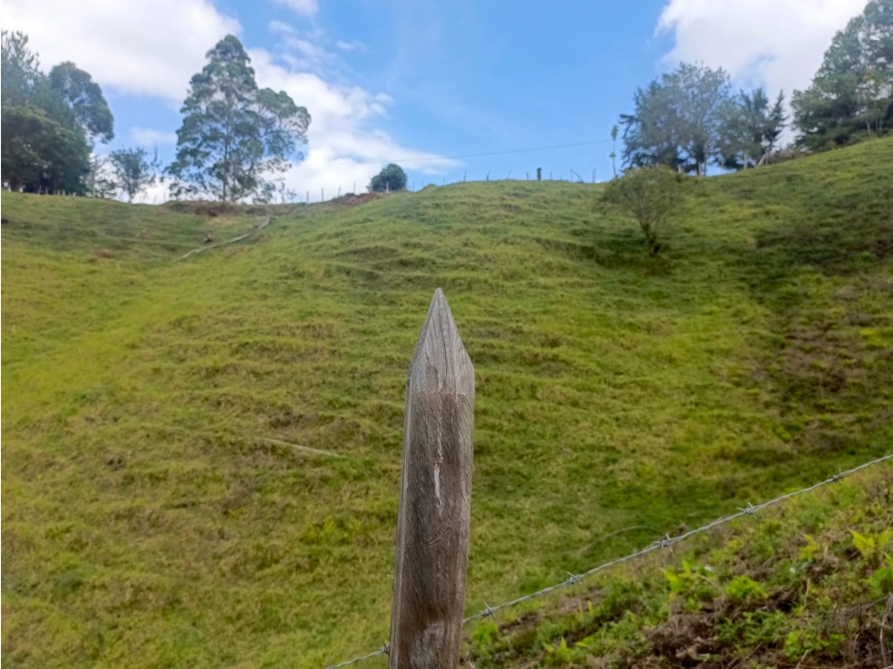 VENTA DE LOTE EN EL PEÑOL, PARAJE EL CHILCO - 5