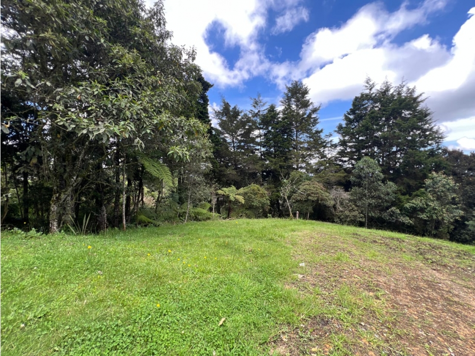 VENTA DE LOTE EN EL ALTO DE LAS PALMAS CON EXCELENTE VISTA — foto 4