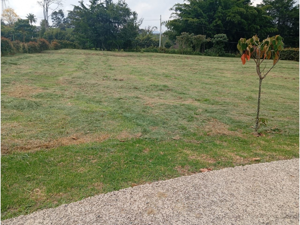 VENTA LOTE DENTRO DE PARCELACIÓN EN LA CEJA - VIA RIONEGRO LA CEJA — foto 6