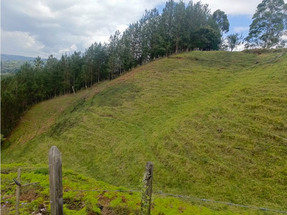 VENTA DE LOTE EN EL PEÑOL, PARAJE EL CHILCO - 6