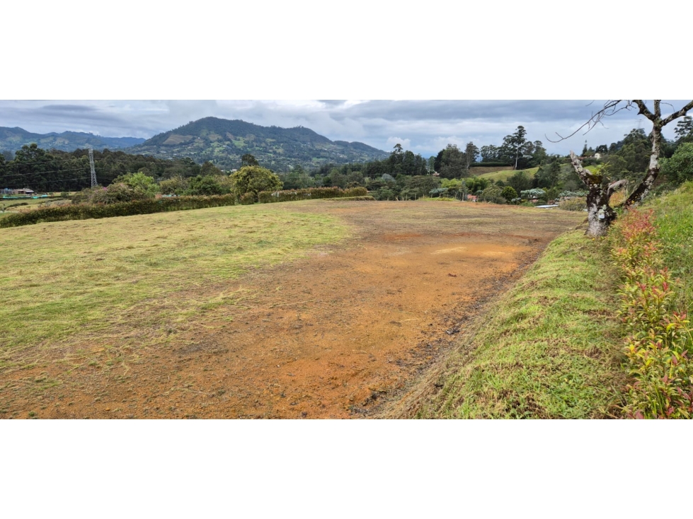 VENTA DE LOTE RESERVA SILVESTRE EN LA CEJA, VEREDA EL YARUMO