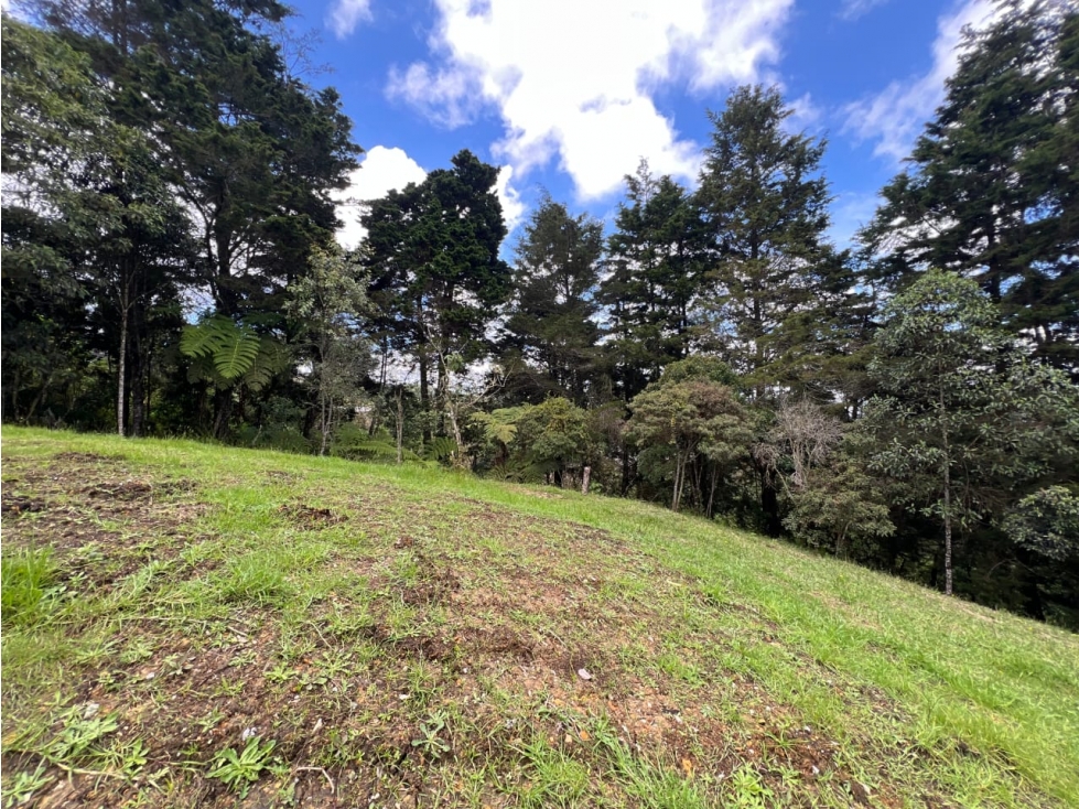 VENTA DE LOTE EN EL ALTO DE LAS PALMAS CON EXCELENTE VISTA — foto 3