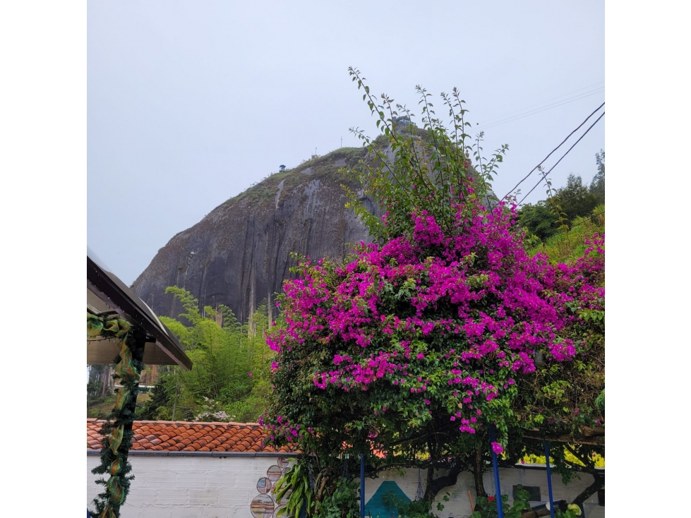 Finca en Venta Guatapé Antioquia