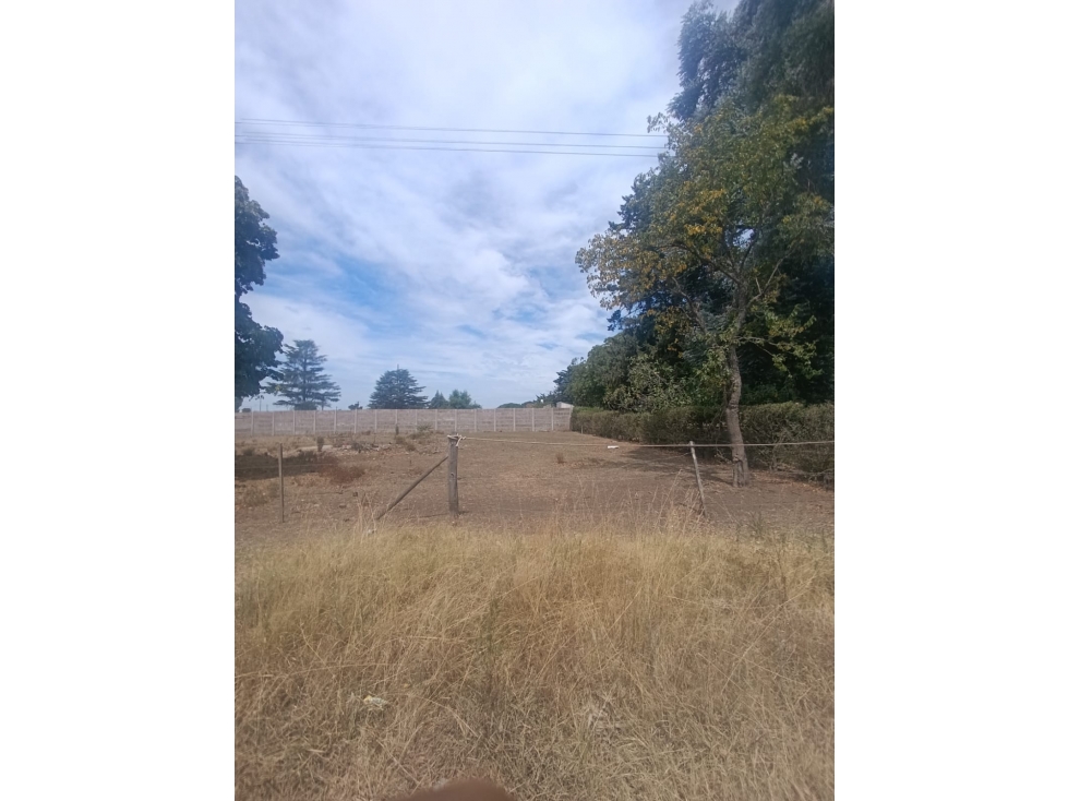 TERRENO