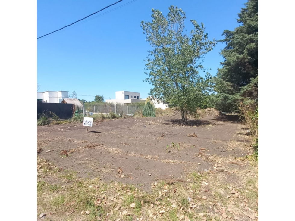 LOTE EN LA ELENA - 3
