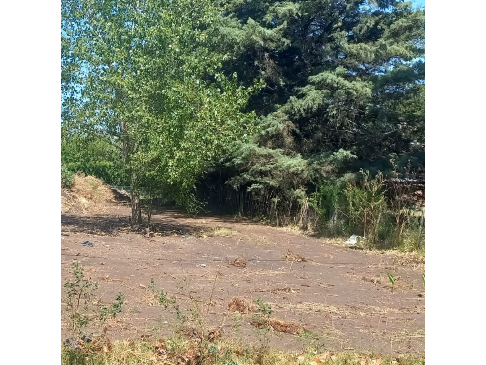LOTE EN LA ELENA - 5