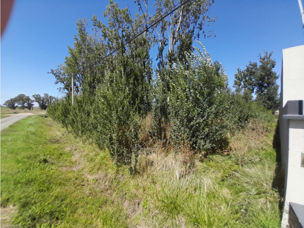 Terreno en Gardey - 3