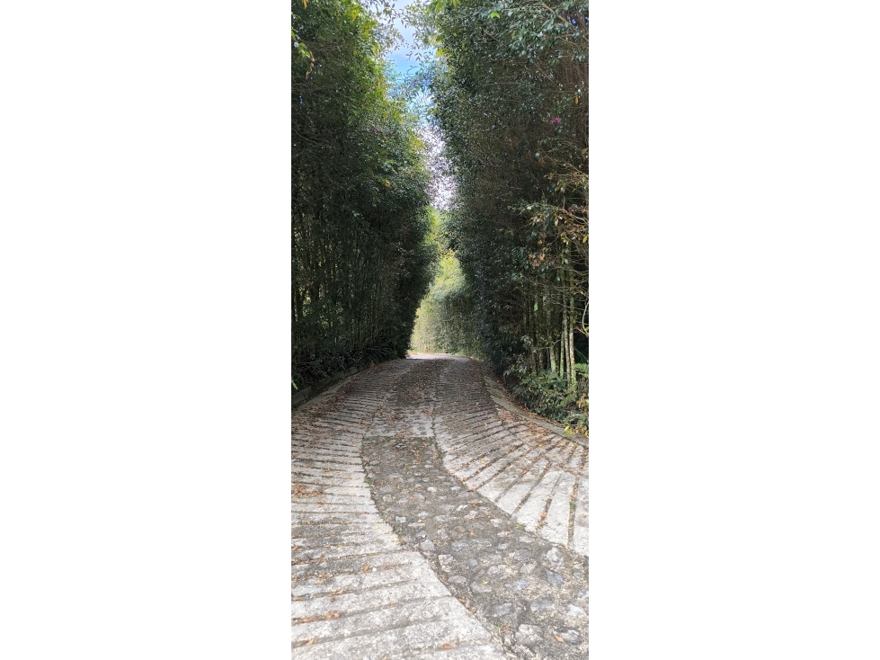 VENTA DE FINCA EN ELPEÑOL ANTIOQUIA - 1