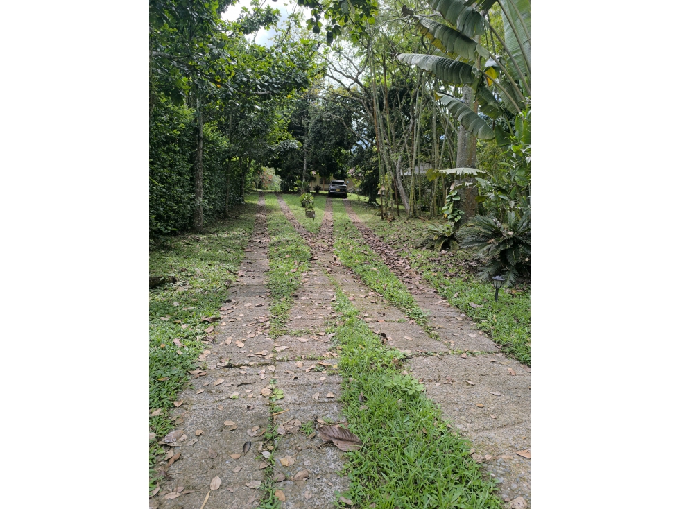 FINCA EN VENTA VENECIA ANTIOQUIA — foto 3