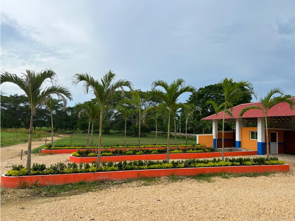 LOTES EN SANTA ROSA DE LIMA - ALAMEDA CONDOMINIO CAMPESTRE - 2