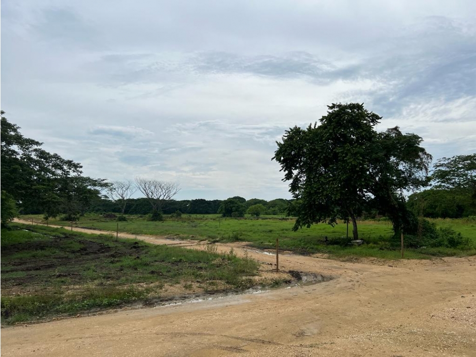 LOTES EN SANTA ROSA DE LIMA - ALAMEDA CONDOMINIO CAMPESTRE - 4