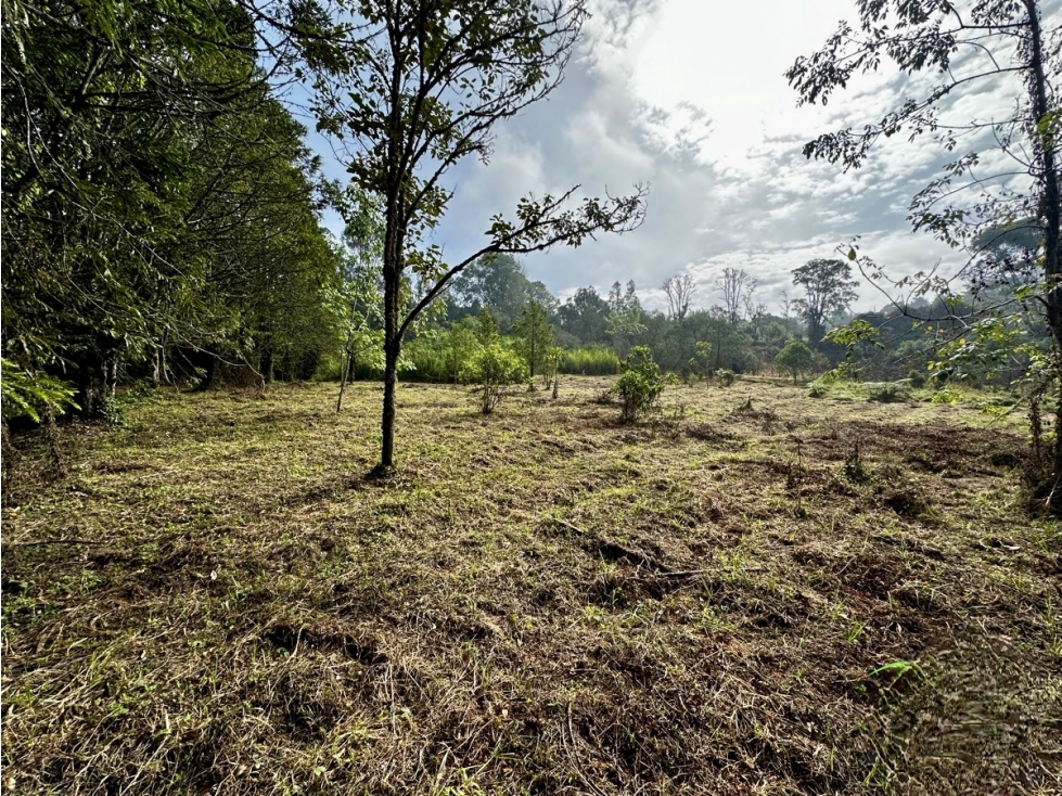 Lote En venta en todo el Corazon del Tablazo — foto 2