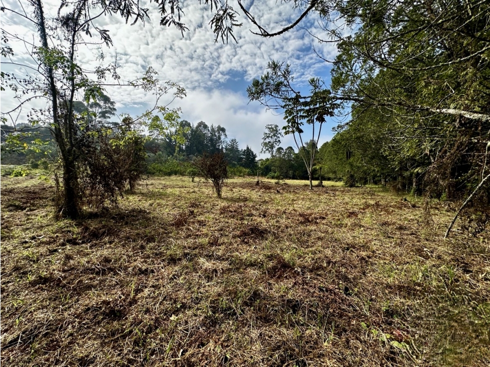 Lote En venta en todo el Corazon del Tablazo — foto 3