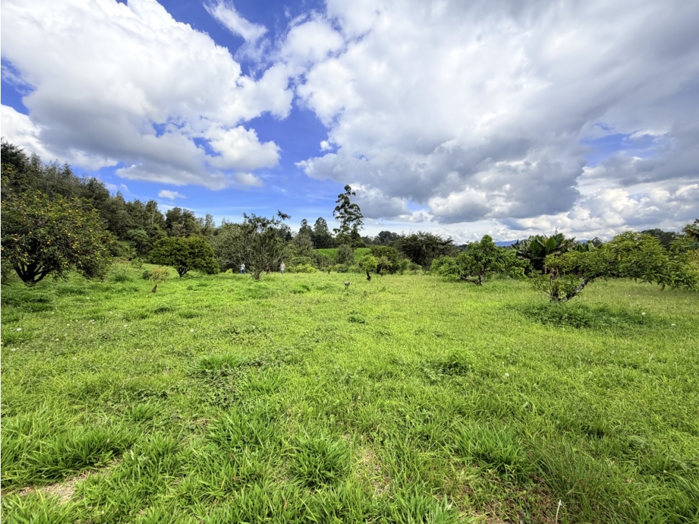 Lote comercial de 25.000 m² Oportunidad De Desarrollo