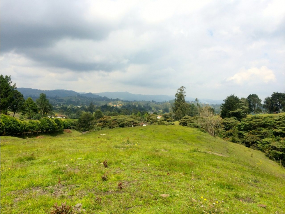 Se Vende Lote El Capiro - Rionegro