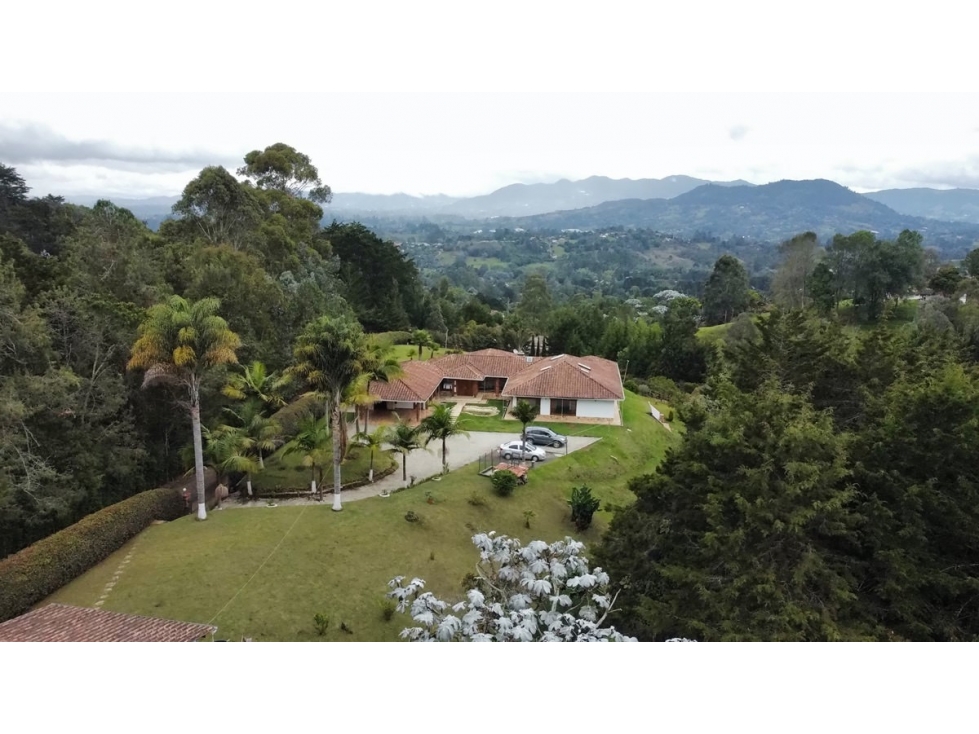 Finca En Venta Cabeceras - Rionegro