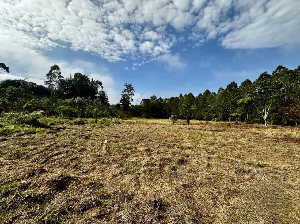 Lote En venta en todo el Corazon del Tablazo — foto 5