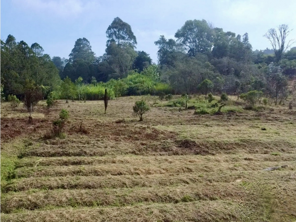 Lote En venta en todo el Corazon del Tablazo
