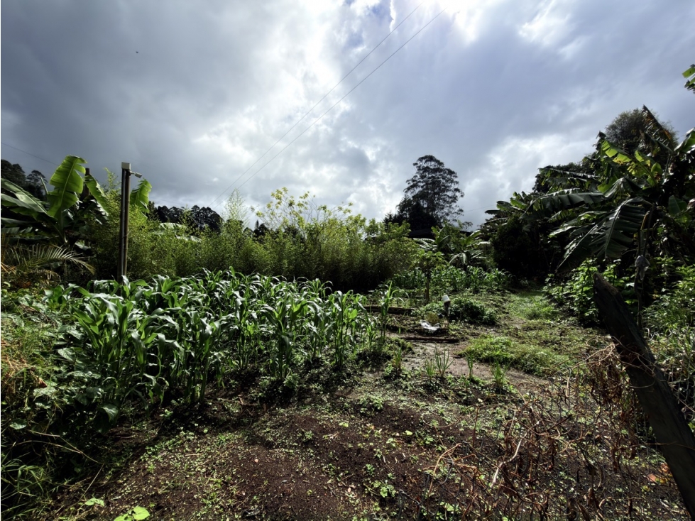 Finca Campreste en venta — foto 4