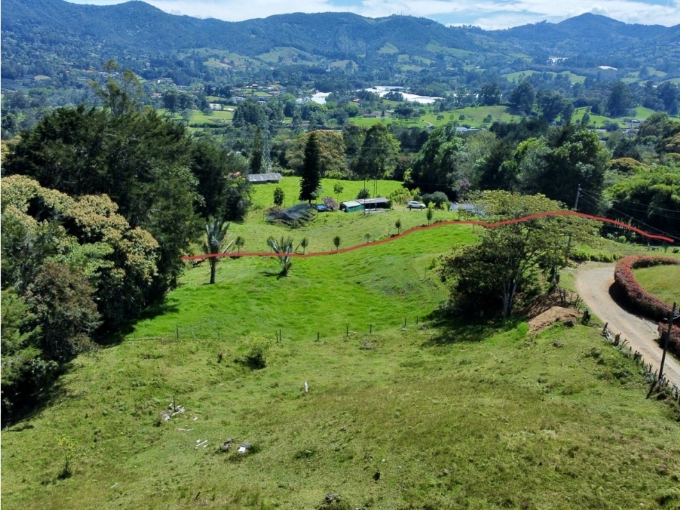 Venta Lote Independiente - La Ceja - Guamito