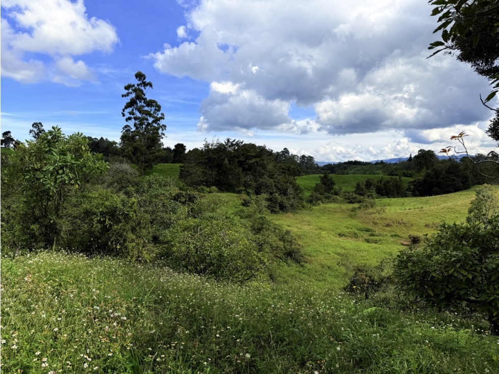 Lote comercial de 25.000 m² Oportunidad De Desarrollo — foto 2