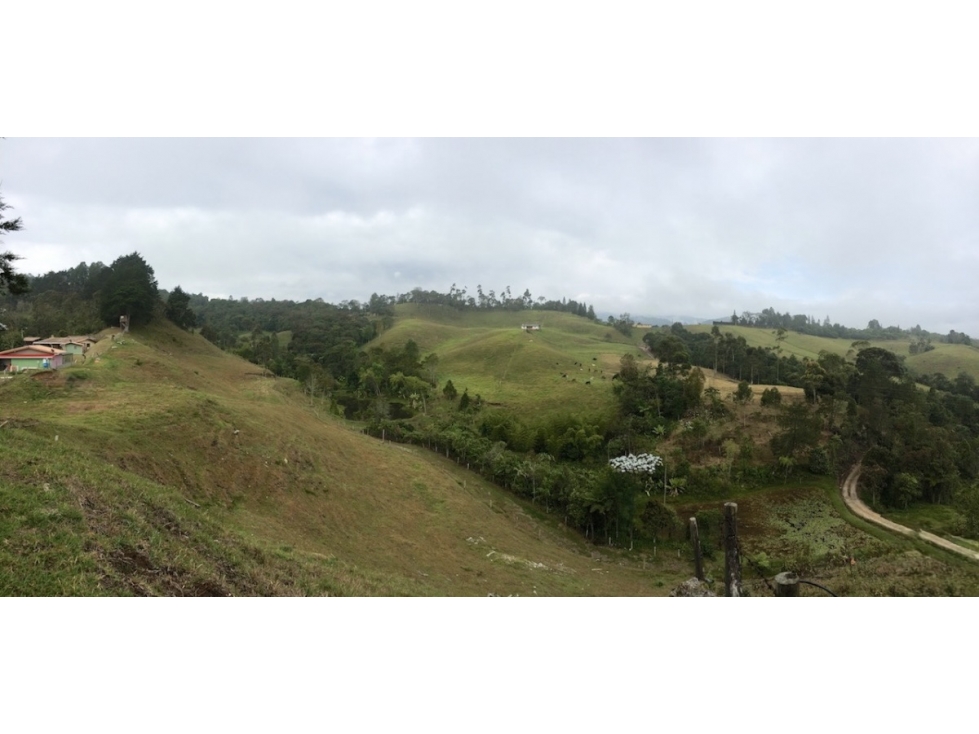 Venta Lote de Gran Extencion - El Retiro - Pantanillo — foto 4