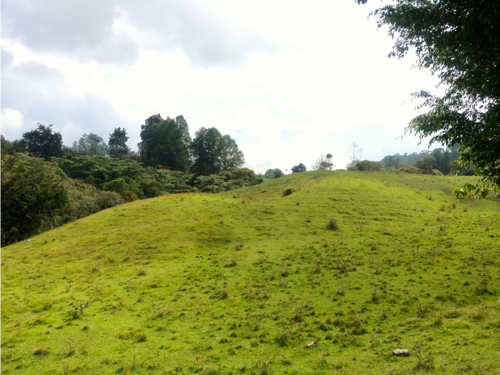 Se Vende Lote El Capiro - Rionegro — foto 2