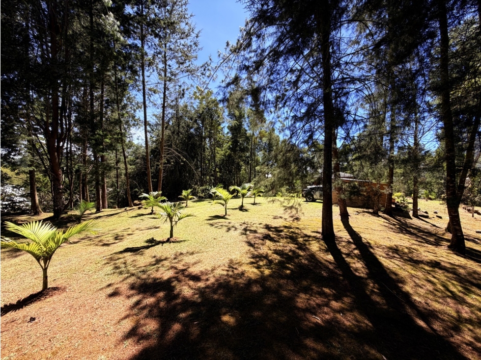 Finca Independiente Via Don Diego-La Ceja — foto 3