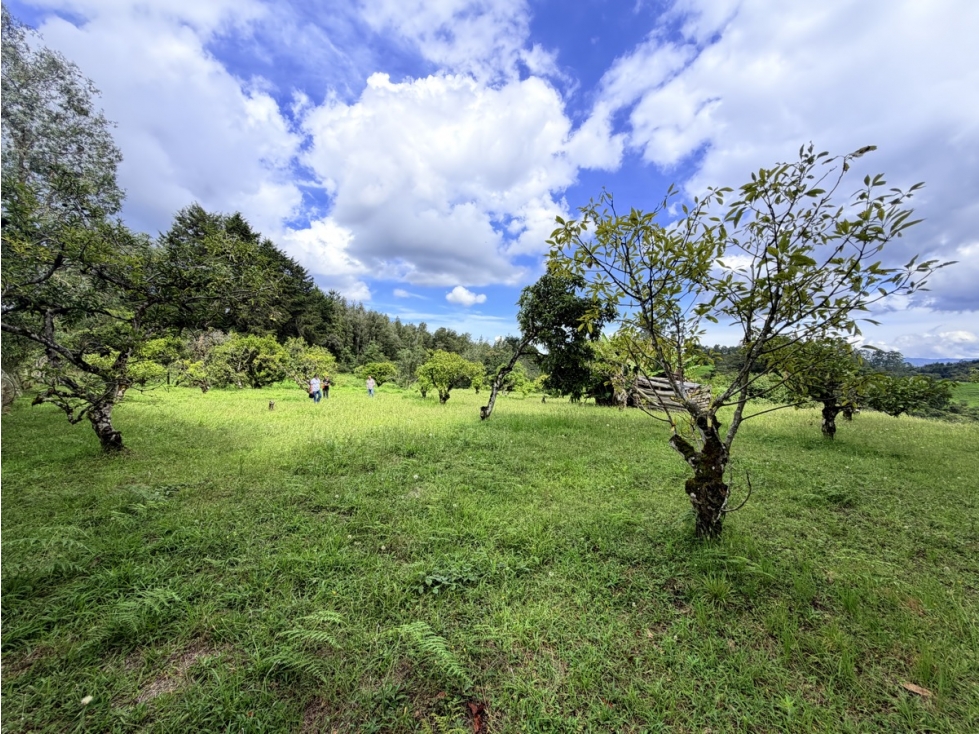 Lote comercial de 25.000 m² Oportunidad De Desarrollo — foto 3