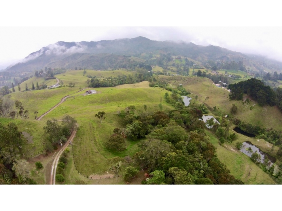 Venta Lote de Gran Extencion - El Retiro - Pantanillo — foto 5