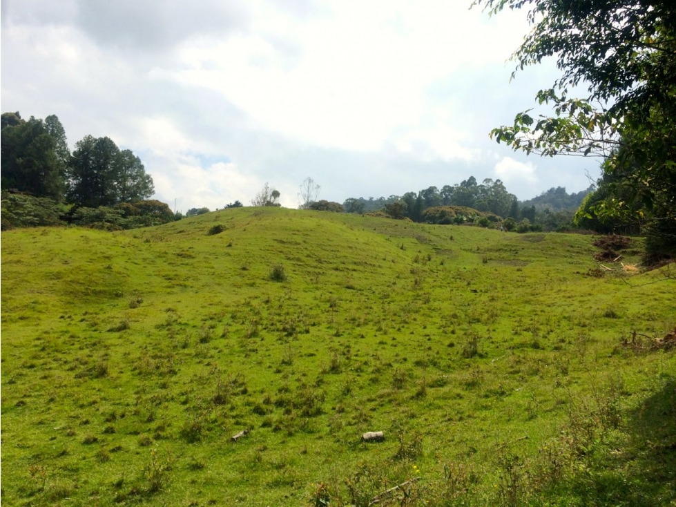Se Vende Lote El Capiro - Rionegro — foto 3