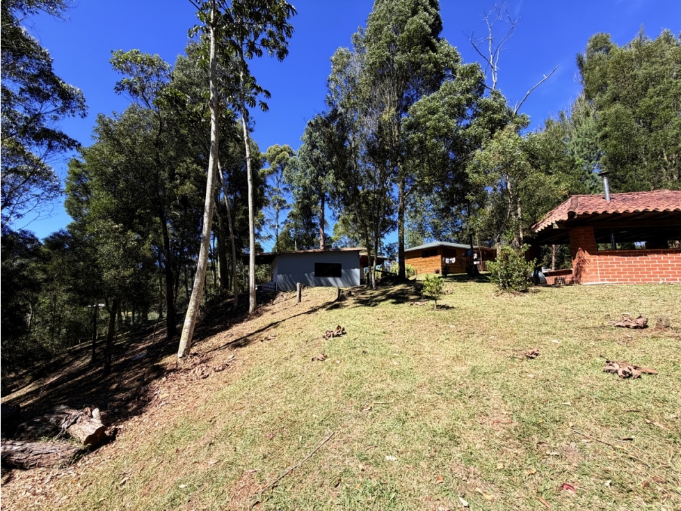 Finca Independiente Via Don Diego-La Ceja — foto 4